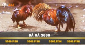 Đá Gà s666